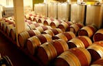 Weindegustation in Vevey