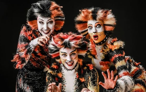 Musical Dinner Schmelz