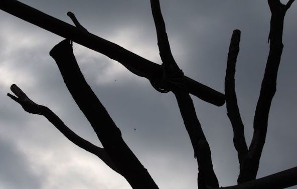 Fotokurs "Allwetter-Zoo" Münster