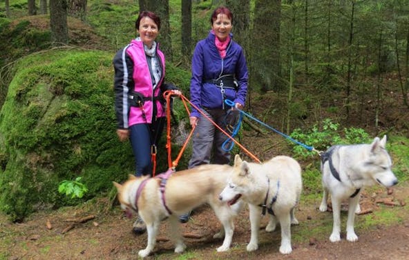 Nordic Walking mit Huskys Kulz (2 Std.)