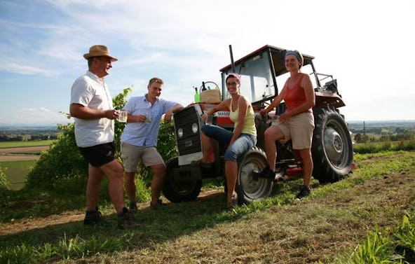 Weinseminar mit Maschinenvorführung Perg