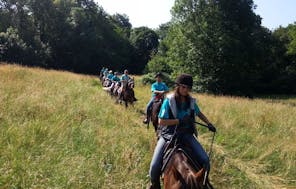Pferde reiten für Anfänger Ispra für 2