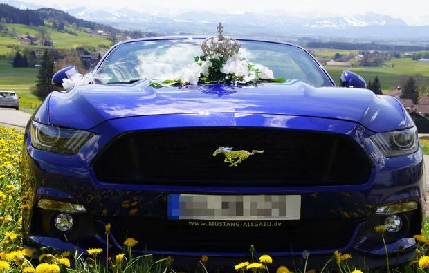 Mustang GT Cabrio fahren Berlin Großbeeren (1 Tag, Mo. - Do.) - 3