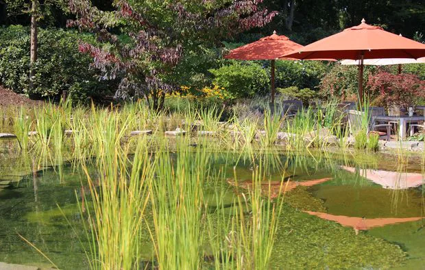 Romantikwellness für Paare Gronau - 1