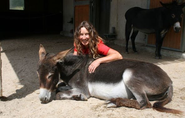Esel-Trekking Kollnburg