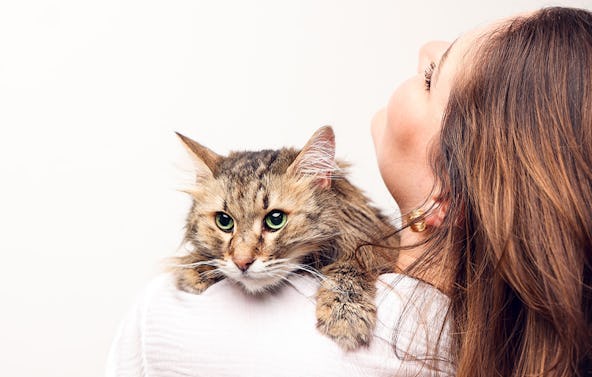 Tier Fotoshooting Essen