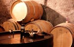 Weindegustation in Mont-Vully