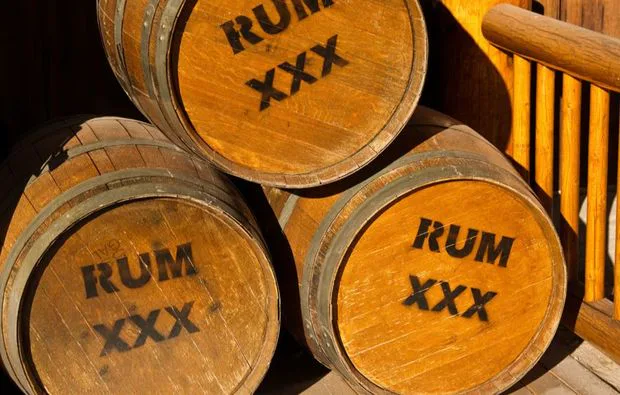 Rum Tasting in Frankfurt am Main - 1