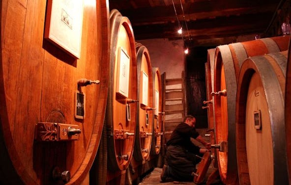 Weindegustation in Genf (1,5 Std.)