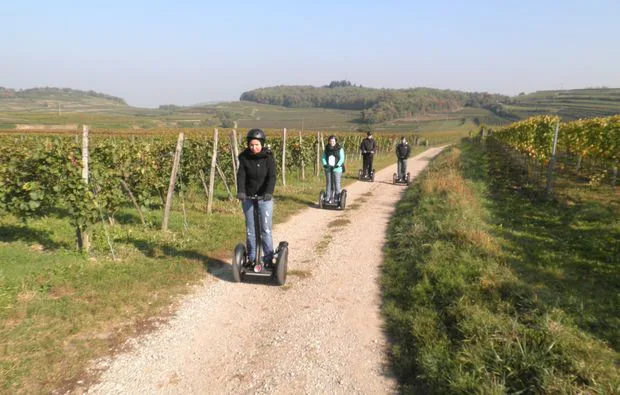 Segway Tour in Vogtsburg am Kaiserstuhl - 5