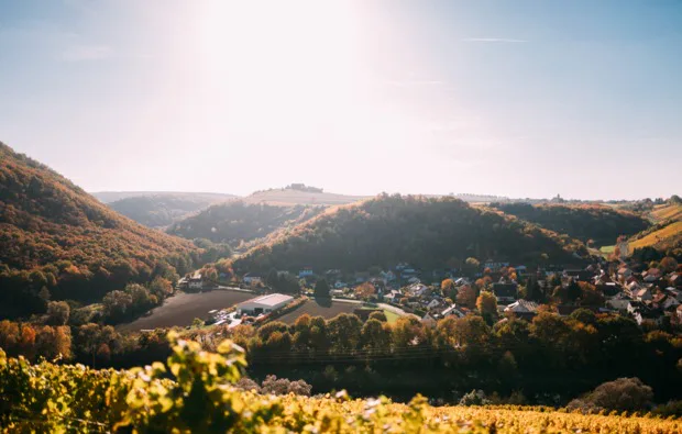 Weingut-Kurzurlaub an der Nahe für 2 (2 Nächte) - 4