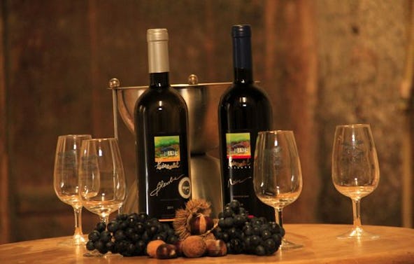 Weindegustation in Rolle (1,5 Std.)