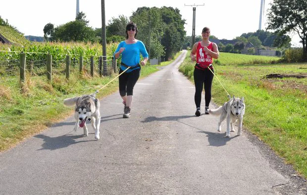 Husky Trekking Goch - 1