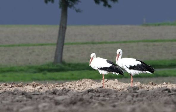 Fotokurs Olfen mit Fahrradtour