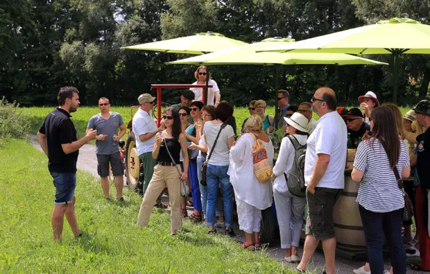 Weinprobe Schweinfurt - 2