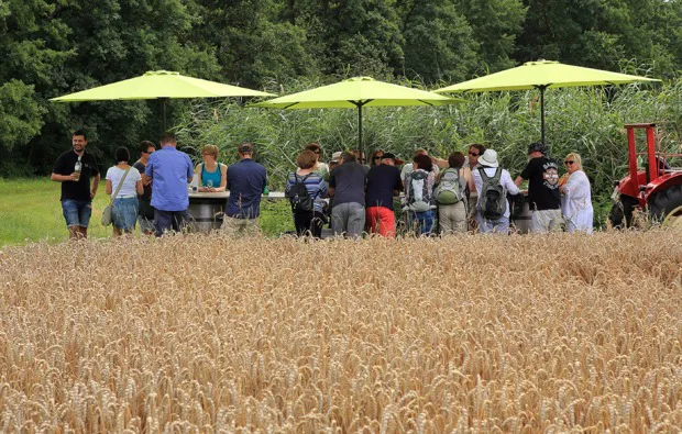 Weinprobe Schweinfurt - 3