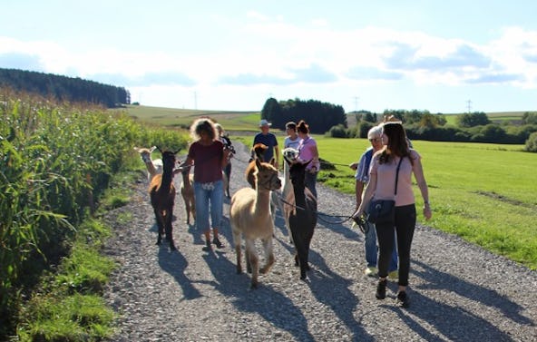 Alpaka Wanderung Brigachtal für 2