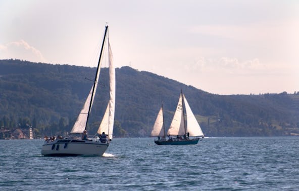Segeltörn auf dem Bodensee Moos (3 Std.)