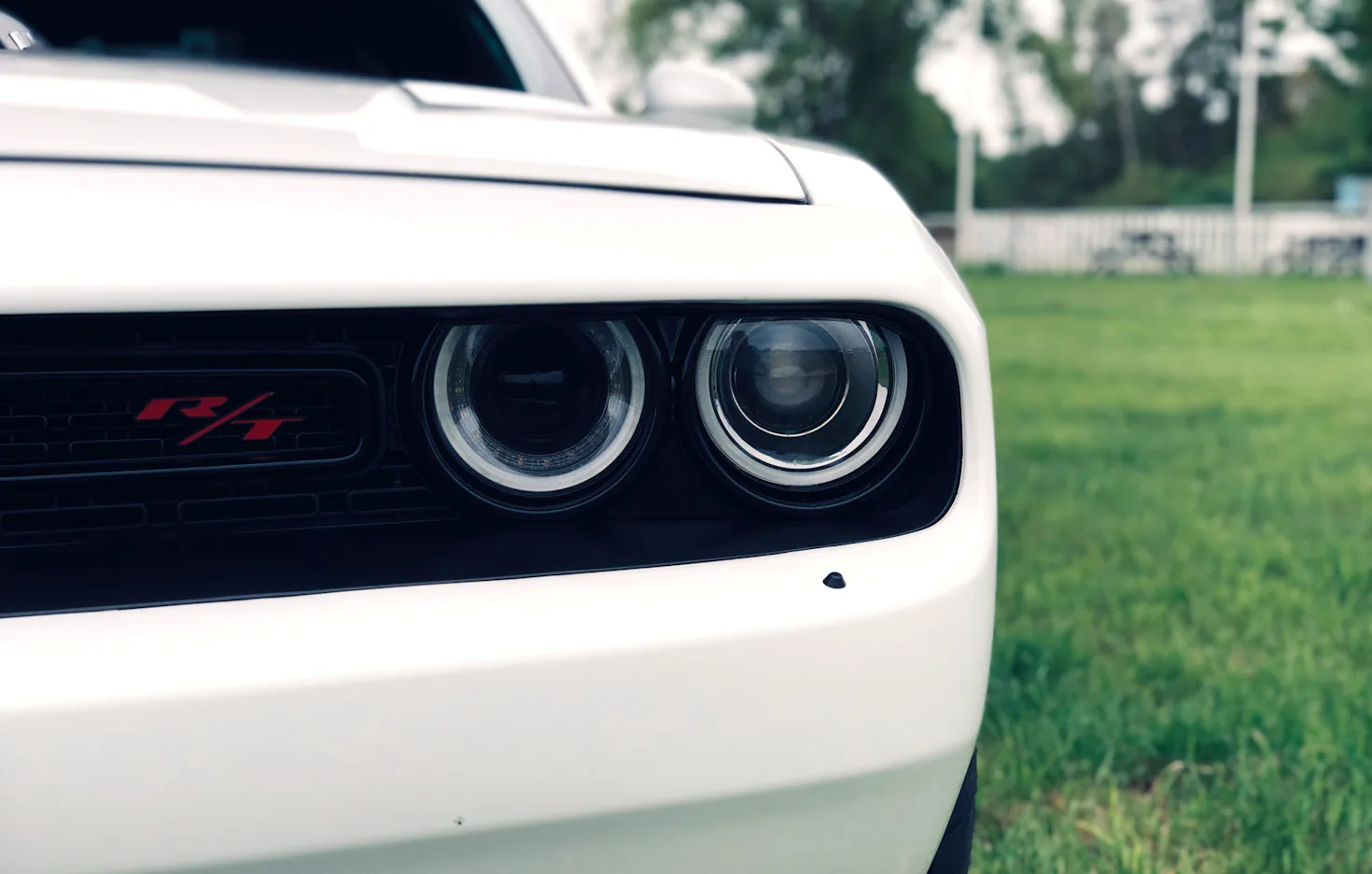 Dodge Challenger Tagestour Thale - 4