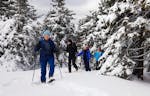 Schneeschuhwanderung Lilienfeld