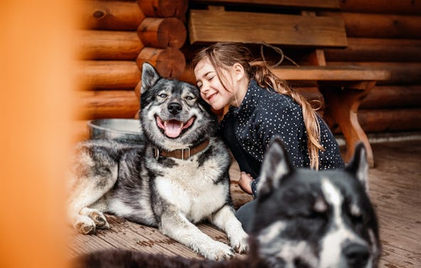 Husky Wanderung Fürstenberg / Havel