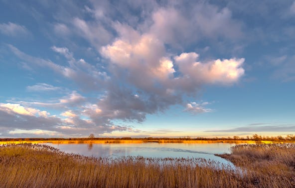 Fotokurs "Weg von der Automatik" Letschin