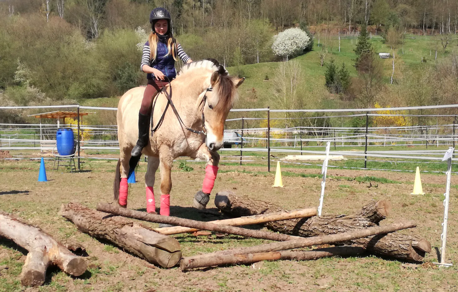 Indianisches Pferdetraining Weißenborn - 1