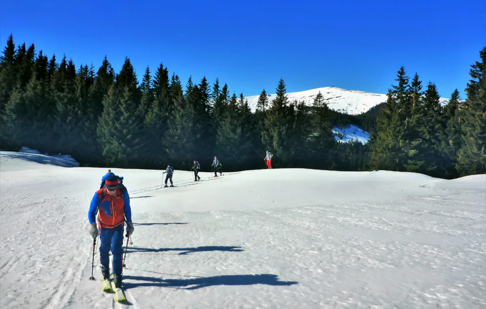 Einsteiger Skitour Neuberg an der Mürz - 2