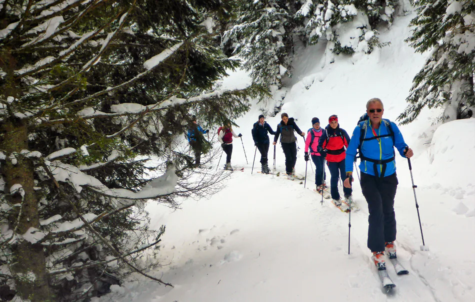 Einsteiger Skitour Kirchberg am Wechsel - 4
