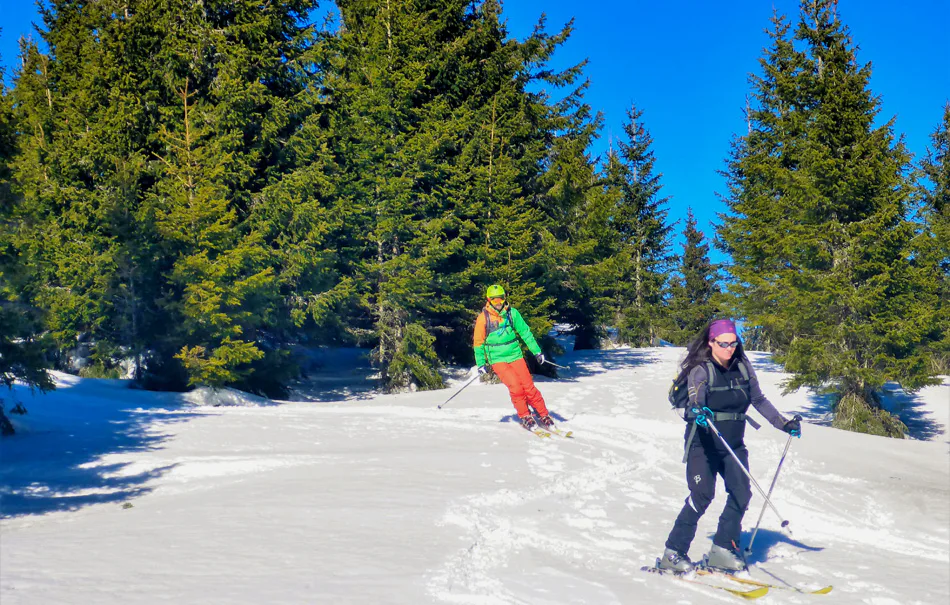 Einsteiger Skitour Kirchberg am Wechsel - 5