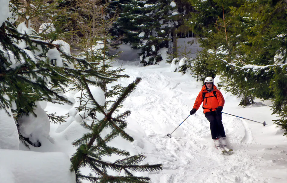 Einsteiger Skitour Lilienfeld - 2