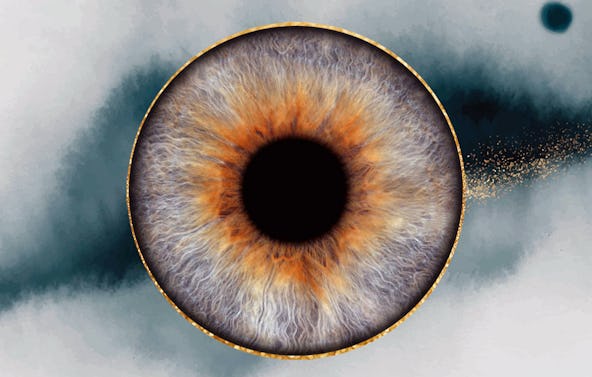 Iris Fotoshooting Posthausen