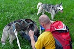 Husky Sommercamp mit Outdoor-Übernachtung Raum Ulm für 2