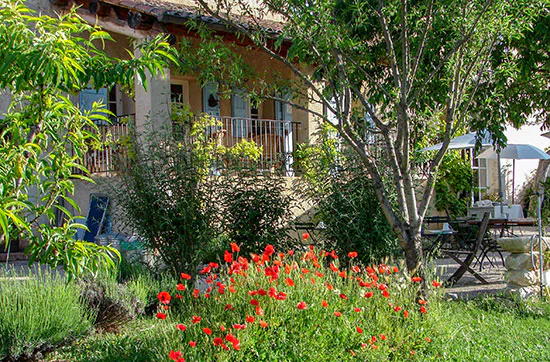Relax-Auszeit in der Hochprovence für 2 (4 Tage) - 7