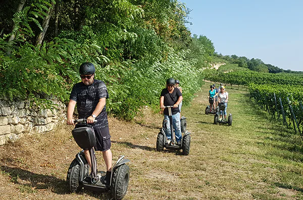 Segway Tour durch die Weingärten von Jois - 2