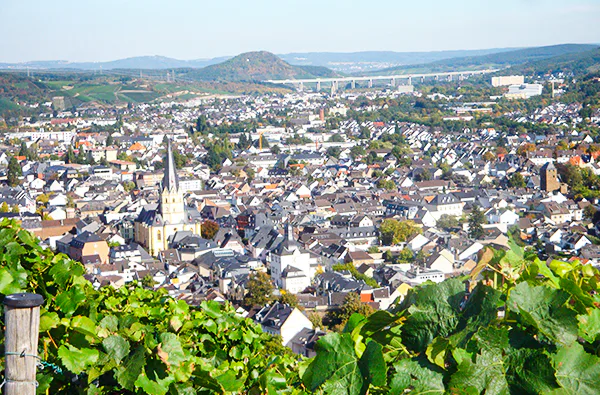 Weinbergwanderung in Bad Neuenahr-Ahrweiler - 1