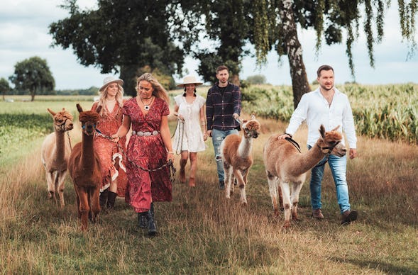 Alpaka Wanderung Walsrode