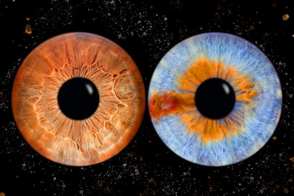 Iris Fotoshooting Compostion Haiger