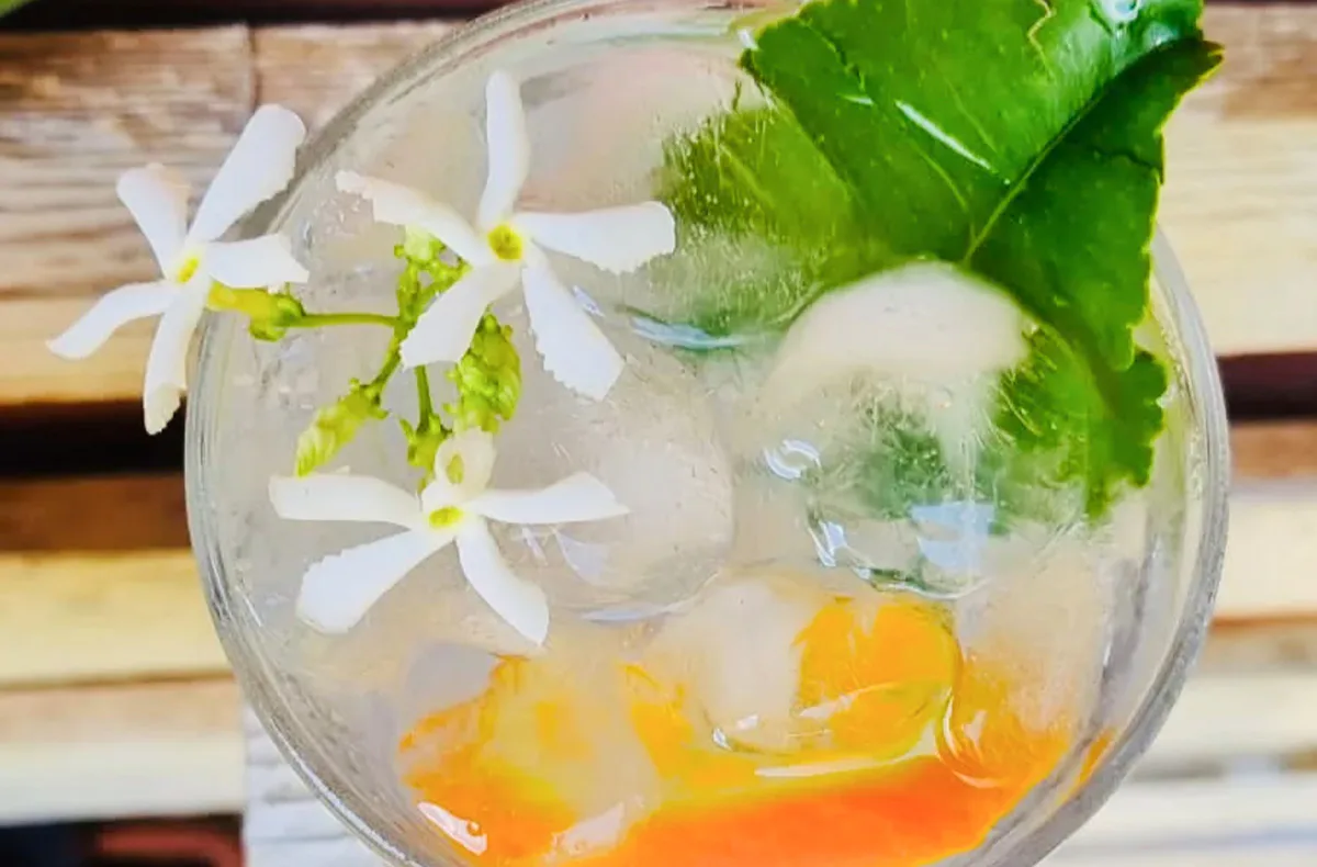 Gin Tasting Eppelheim - 1