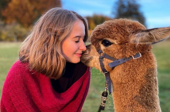 Alpaka Wanderung Mellinghausen für 2