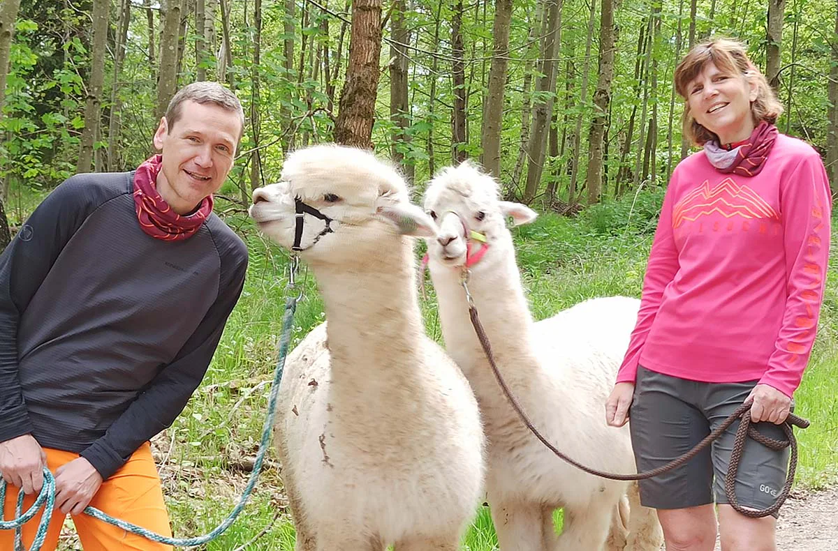 Alpaka Wanderung mit Picknick Waldenbuch - 2