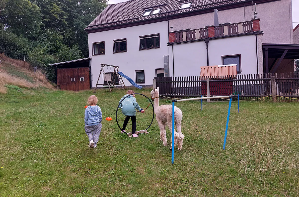 Alpaka Wanderung St. Egidien für 2 - 4