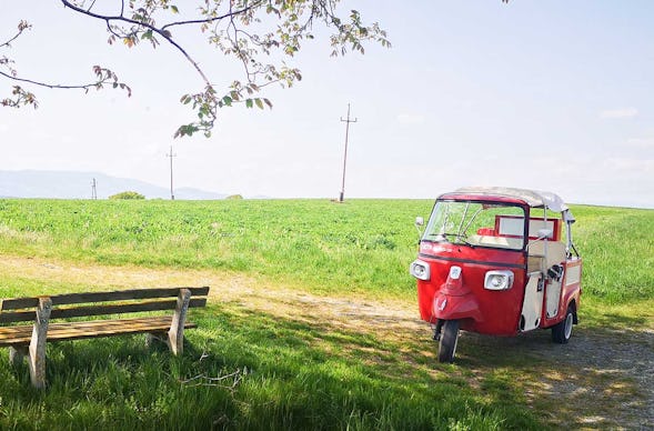 Ape Tour Dreiländereck Oberwart (4 Std.)