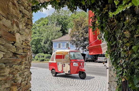 Ape Tour Oberwart (3,5 Std.)