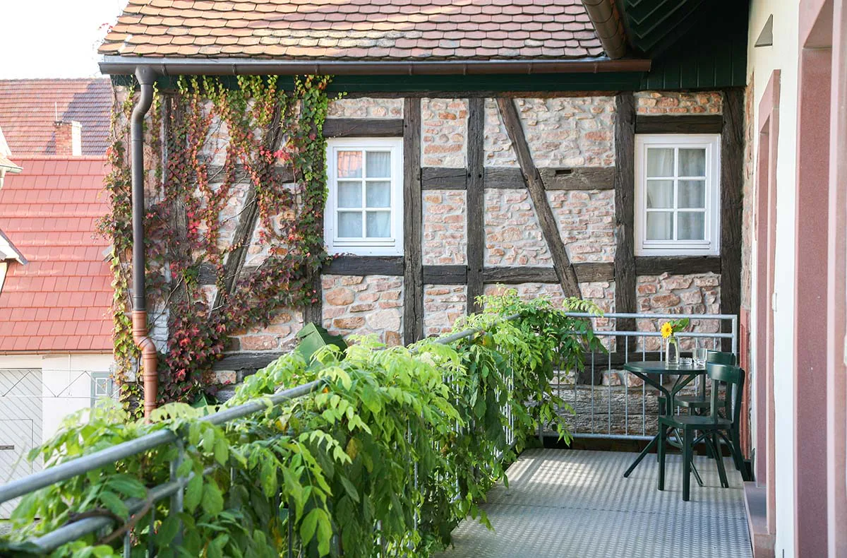 Vegetarischer Kochkurs Weisenheim am Berg - 5