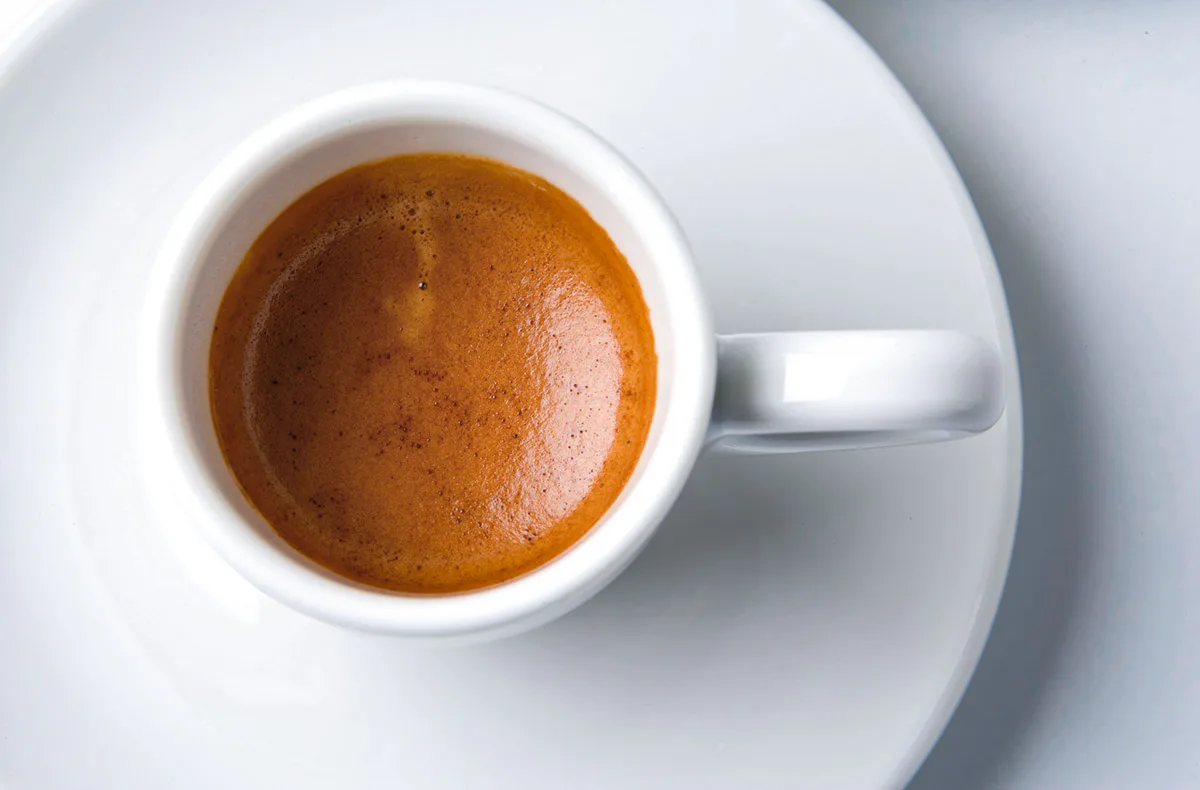 Barista Kurs Schwetzingen - 1