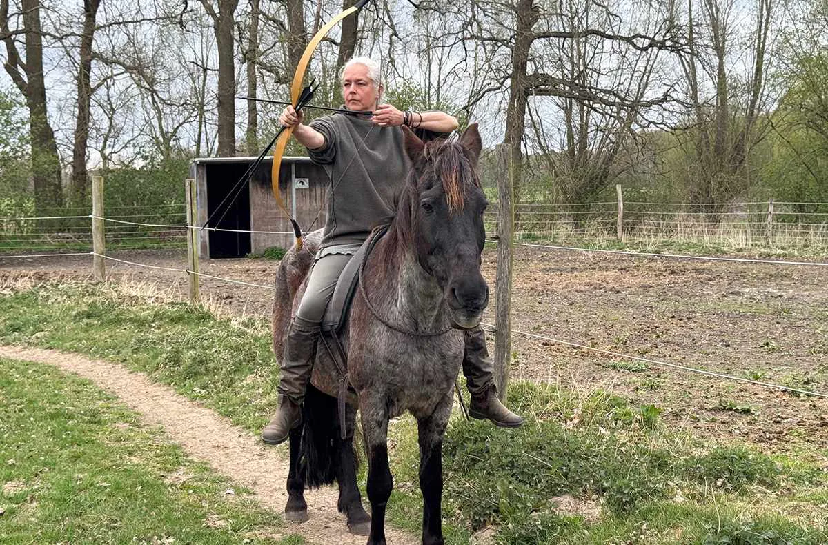 Berittenes Bogenschießen Neustadt am Rübenberge - 2