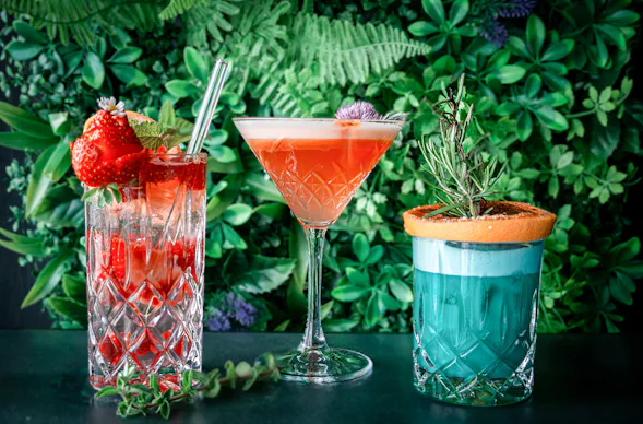 Cocktailkurs Paderborn