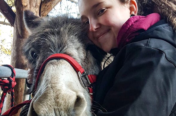 Eselwanderung Eppenbrunn für 2 (2 Std.)
