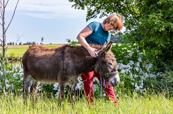 Eselwanderung Fichtenau